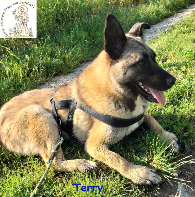 Terry, der Handicap-Schmusebär