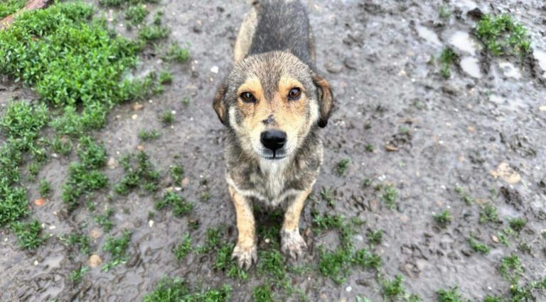 BW 14 hatte Glück im Unglück 🐾