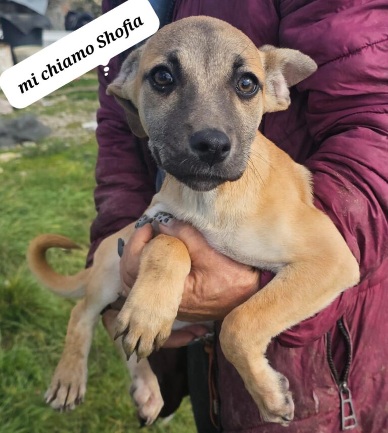 Shofia 💛💛💛 bereit für eigenes Zuhause