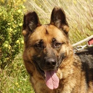 Max – der Größte und Beste