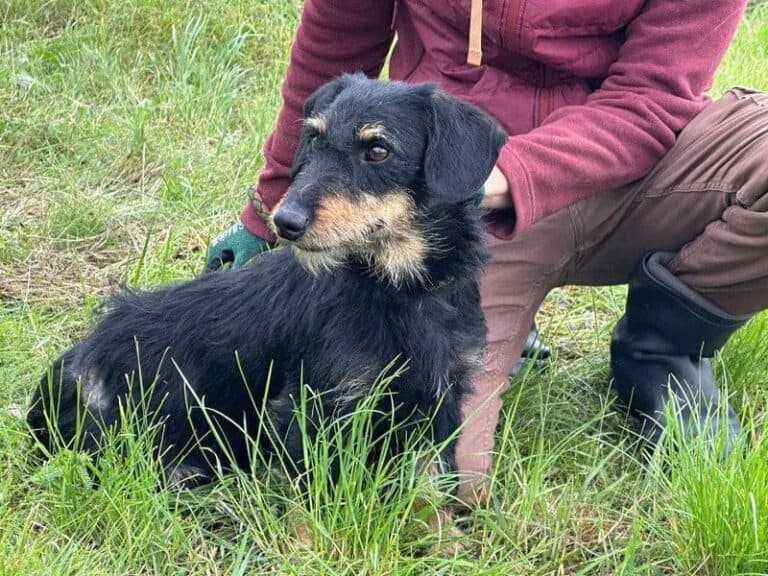 Denver wartet auf sein Glück