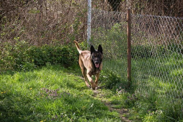 OLLI – sympathisch und freundlich