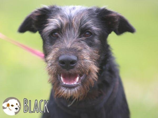 Black braucht aktive Menschen