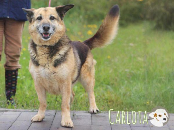 Carlota wünscht sich geduldige Menschen