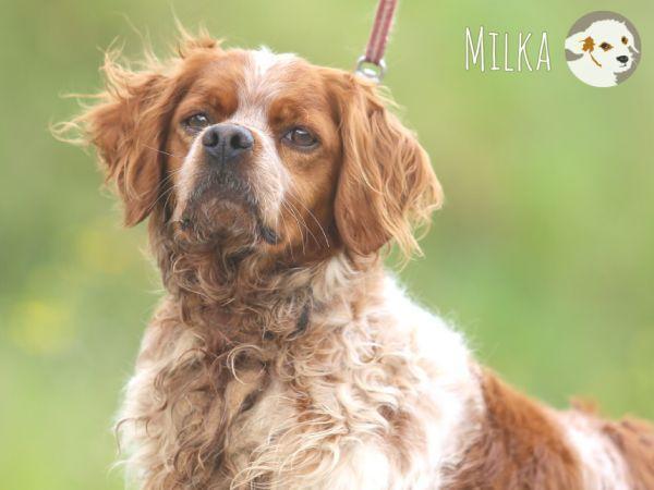 Milka wünscht sich liebevolle Menschen