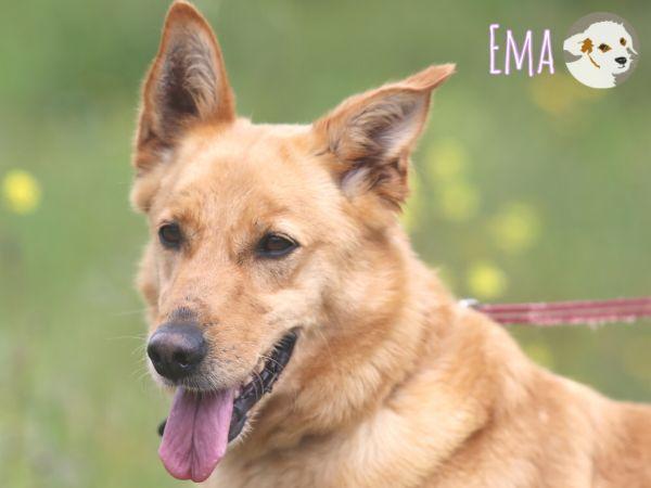 Ema möchte einfühlsame ruhige Menschen