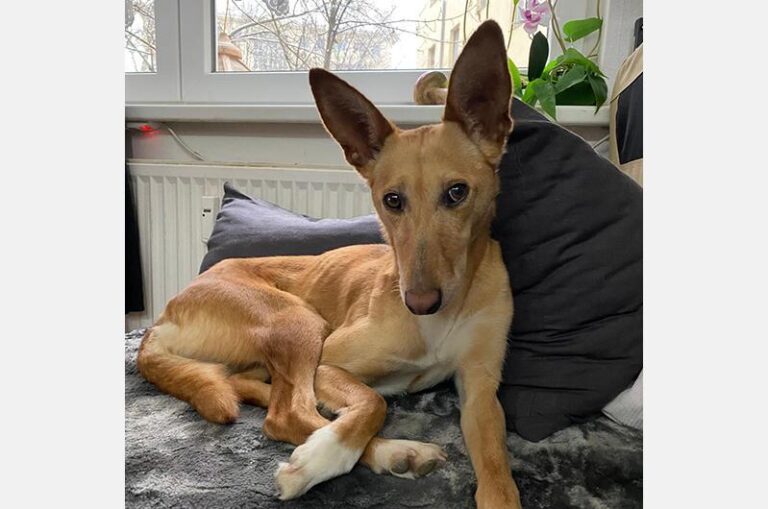 Lola – soziale, hübsche, zuckersüße Dame