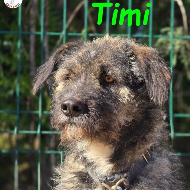 Timi aufgeschlossen & liebevoll 09/23 ES
