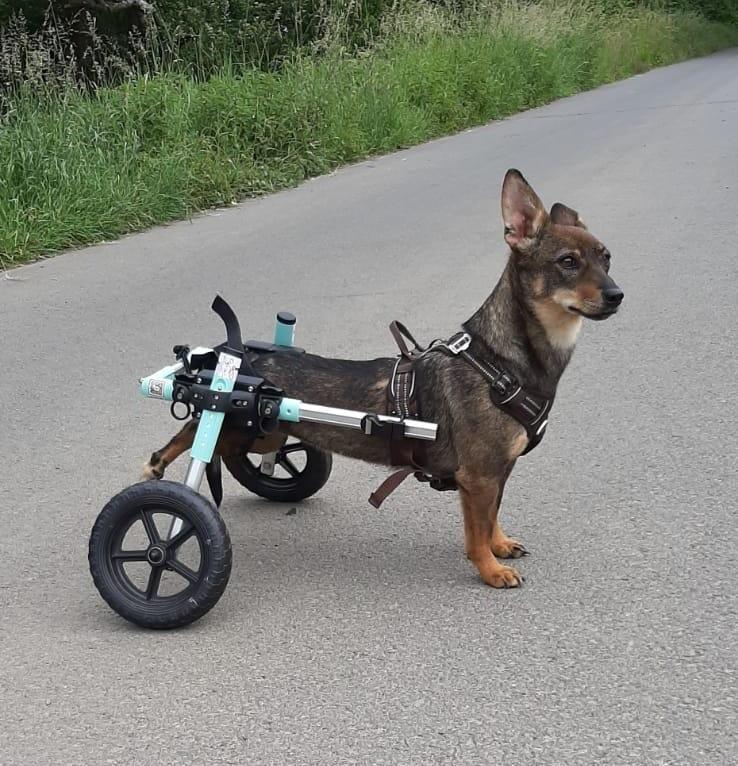 fröhliche, aktive KARA