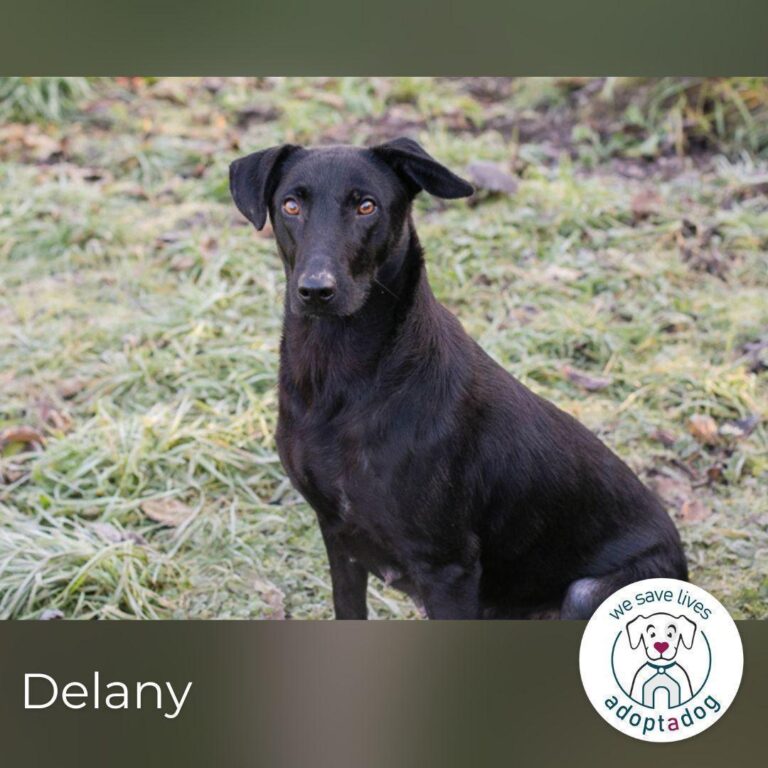 Delany: Fröhliches Mädchen