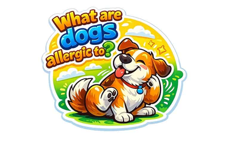 What are dogs allergic to?