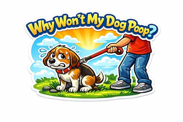 Why Won’t My Dog Poop?