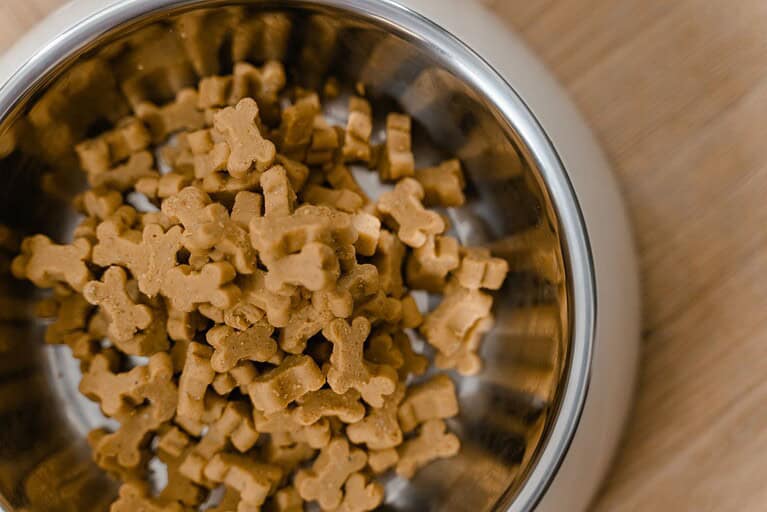 New study finds microplastics in more than 75% of commercial pet food brands
