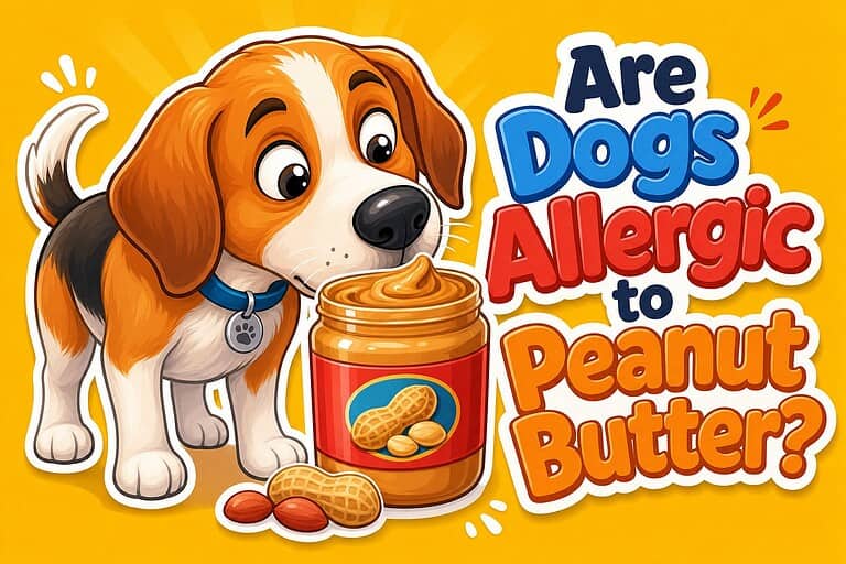 Are Dogs Allergic to Peanut Butter?