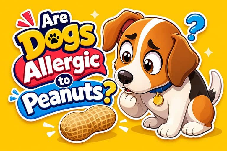 Are Dogs Allergic to Peanuts?