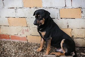 MARLEY - jeden tag lerne ich was dazu