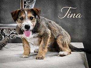 Tina, ein kleiner Wirbelwind