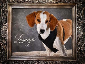 Laranja, ein lebensfrohes Mädchen