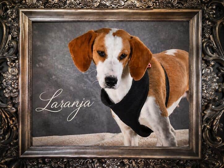 Laranja, ein lebensfrohes Mädchen