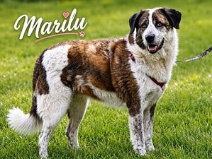 Marilu hat ihre Familie verloren