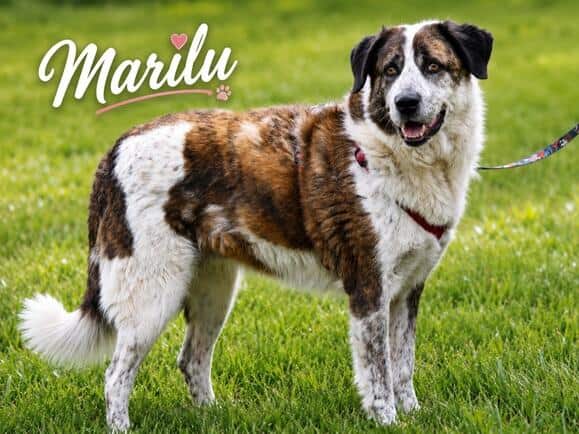 Marilu hat ihre Familie verloren