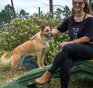 Sunny durfte nicht mit umziehen