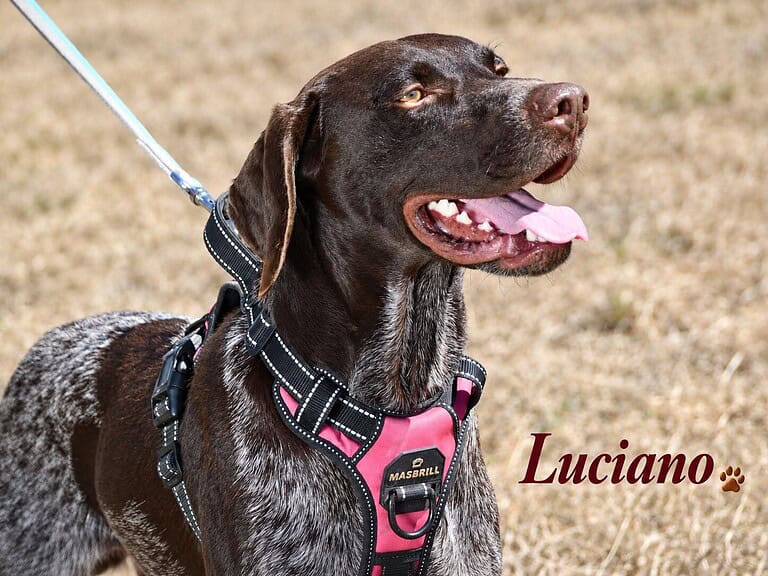 Luciano, ein toller Typ