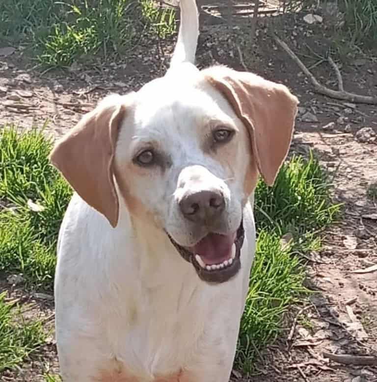 Charlie
