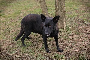 SONJA - noch viel erleben und lernen dürfen